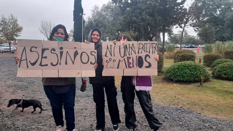 El reclamo por el ataque a Negrita en Villa Allende.