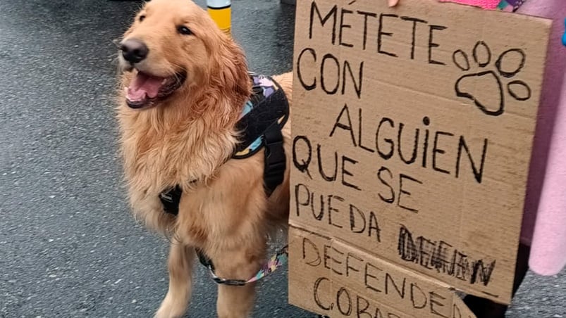 El reclamo por el ataque a Negrita en Villa Allende.