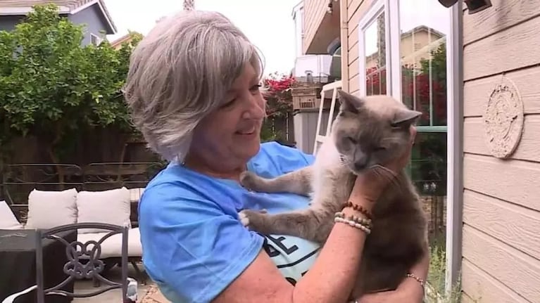 El reencuentro de la familia con su mascota estuvo cargado de emoción.