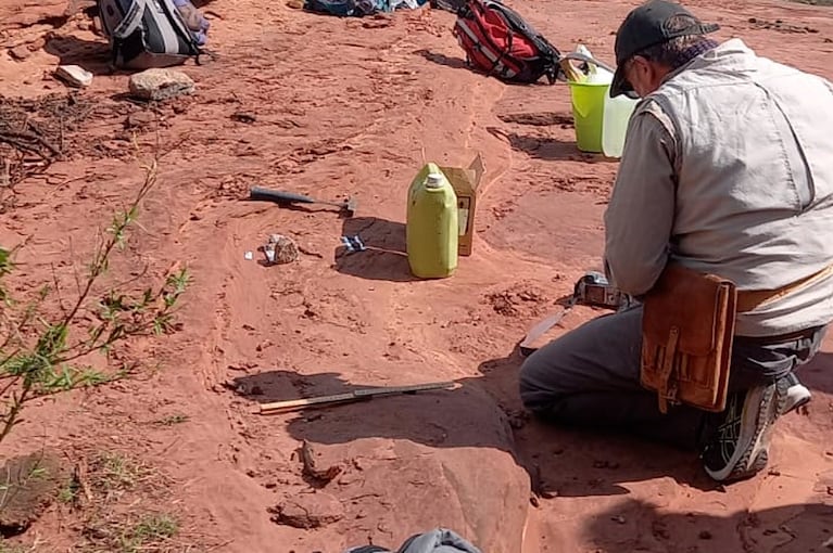 El resto fósil fue encontrado en Sierra de Copacabana, Pajarillo y Masa en las cercanías de Ongamira.
