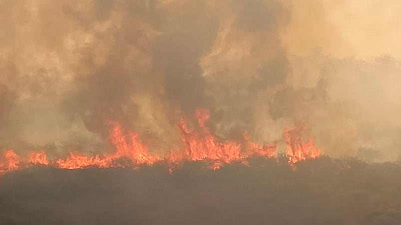 El riesgo de incendios es entre muy alto y extremo. Foto: Mateo Lago / El Doce.