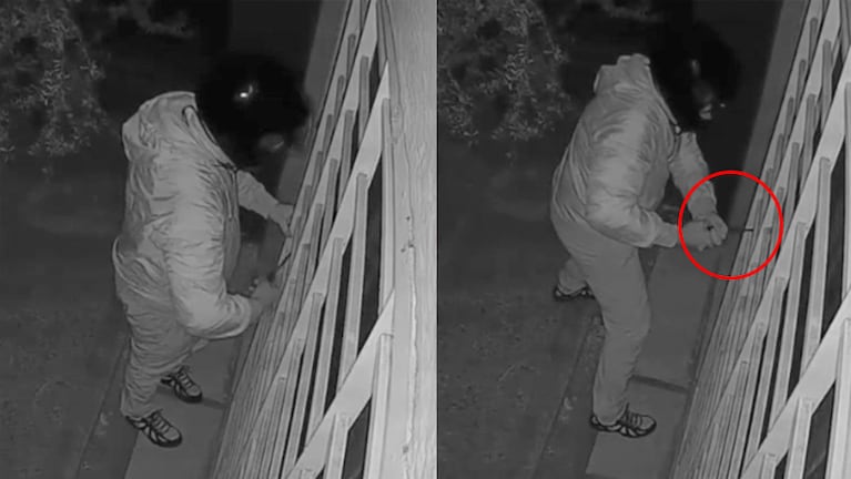 El robo quedó grabado por la cámara de seguridad del departamento de la víctima.