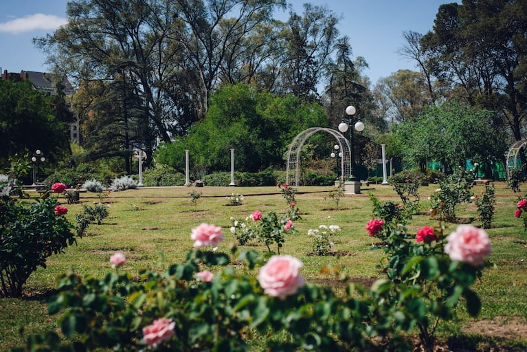 El Rosedal de Córdoba.