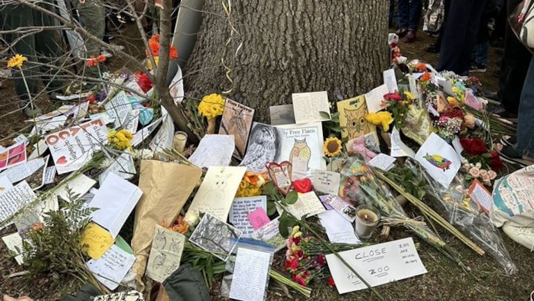 El santuario de Flaco en el Central Park.