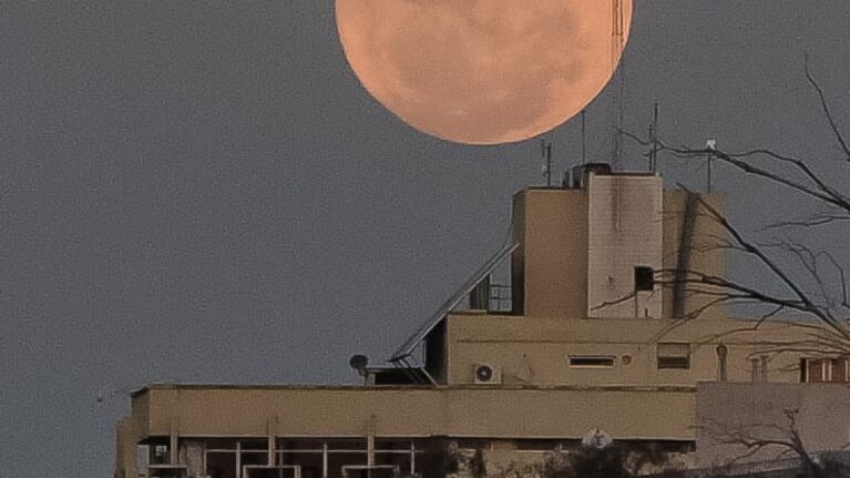 El satélite natural lució más grande y brillante en el cielo. Foto: Lucio Casalla/El Doce.