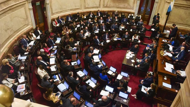 El Senado aprobó la Ley Bases y el paquete fiscal, aunque con cambios