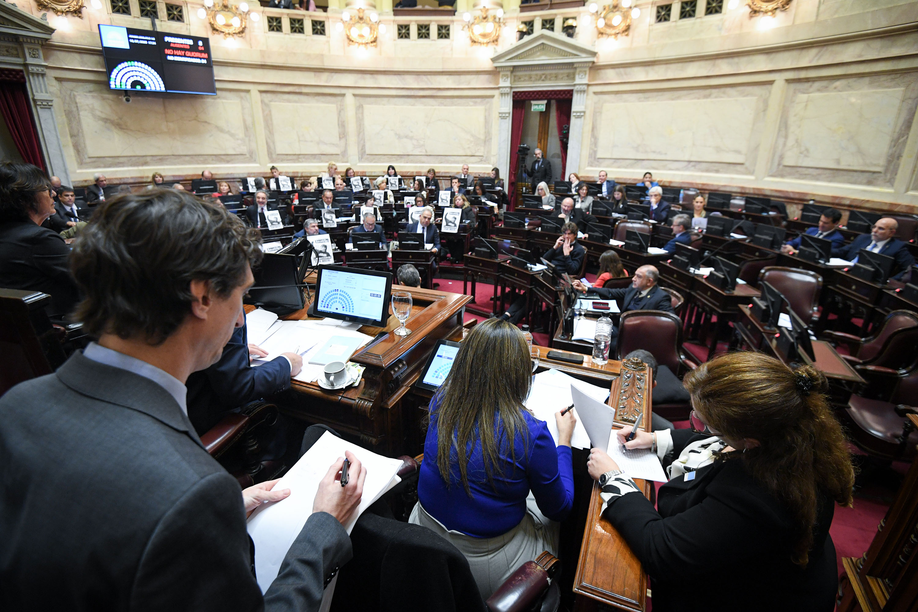 El Senado aprobó los proyectos de fondos para las provincias. Foto: Charly Diaz Azcue / Comunicación Senado