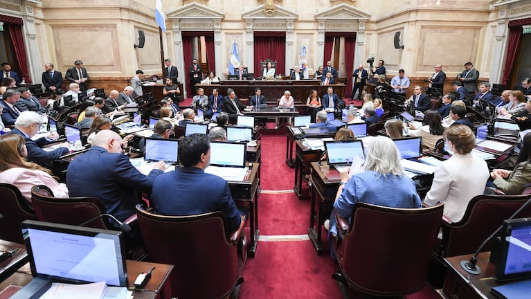 El Senado convirtió en ley el Presupuesto 2026 y Milei lo festejó en las redes