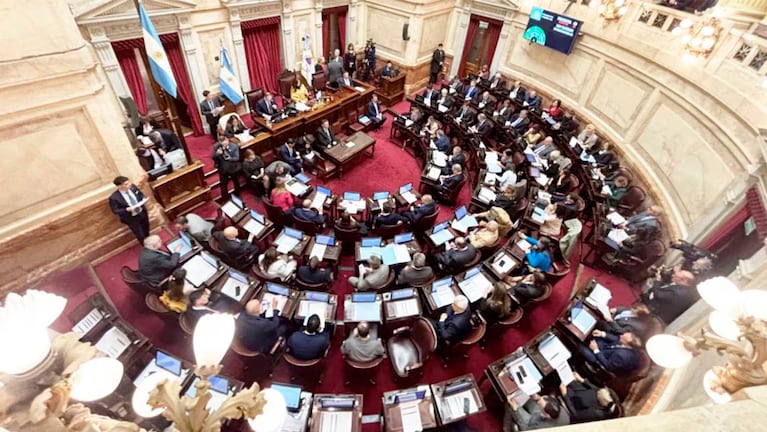 El Senado convirtió en ley el proyecto de financiamiento universitario.