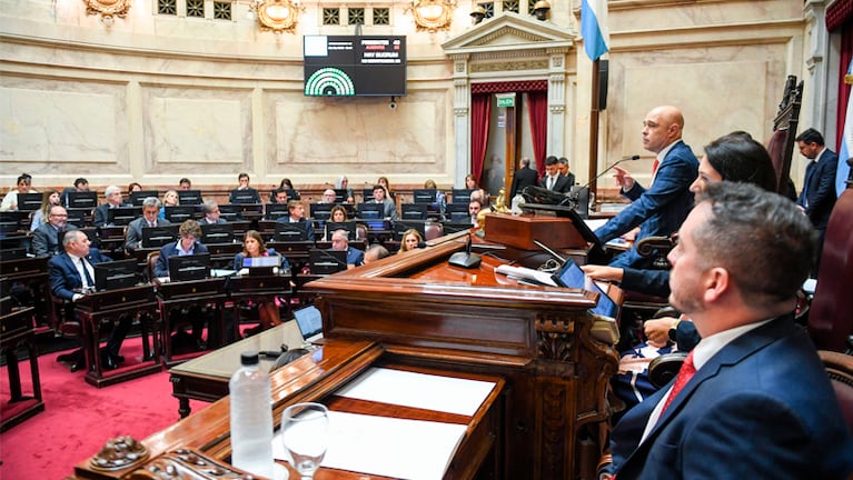 El Senado convirtió en ley la suspensión de las Paso.