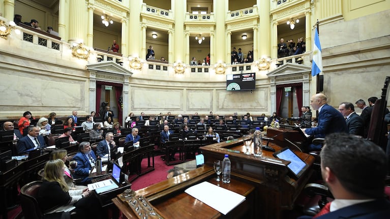 El Senado debate el veto a la ley de discapacidad.