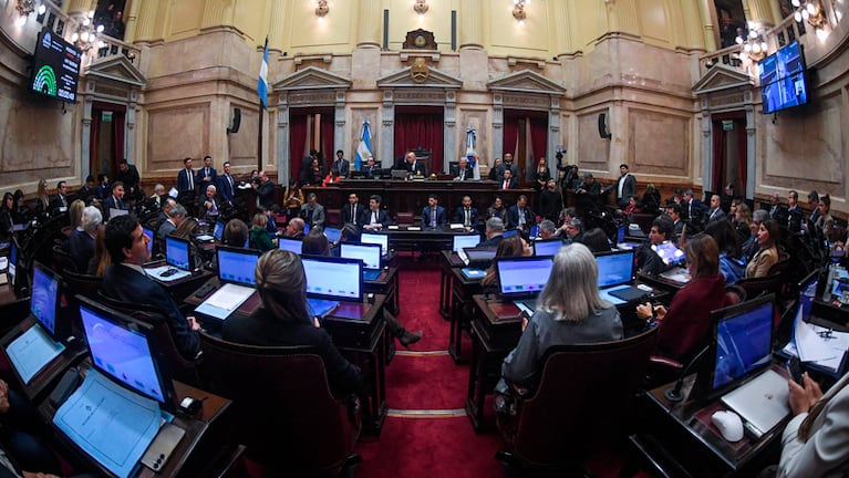 El Senado debate la ley de Propiedad Privada.