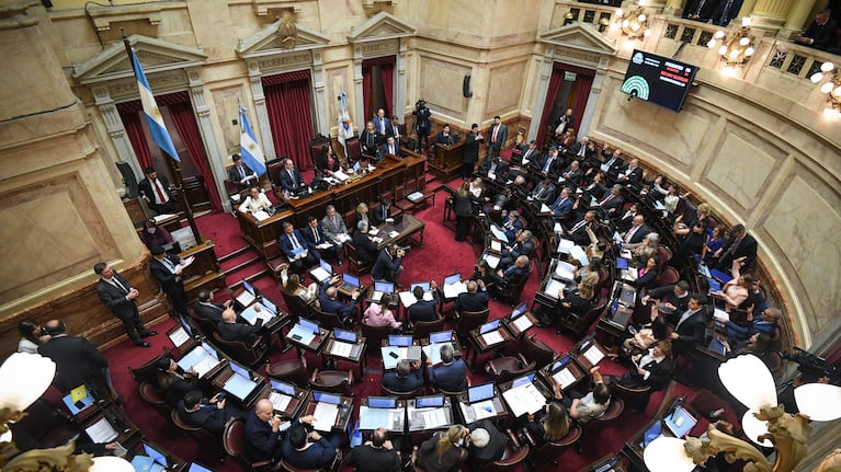 El Senado debatió el veto presidencial al reparto de ATN.