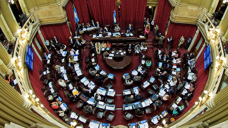 El Senado tiene un presupuesto de más de 61 millones de pesos.