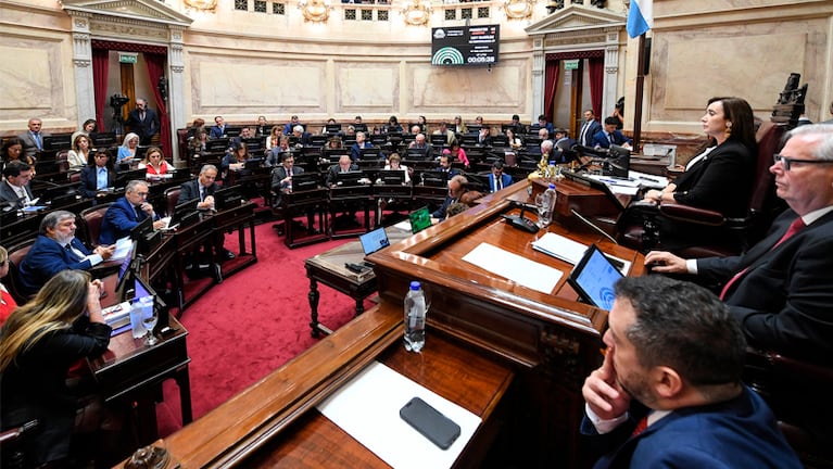 El Senado vuelve a debatir la ley de reforma laboral.