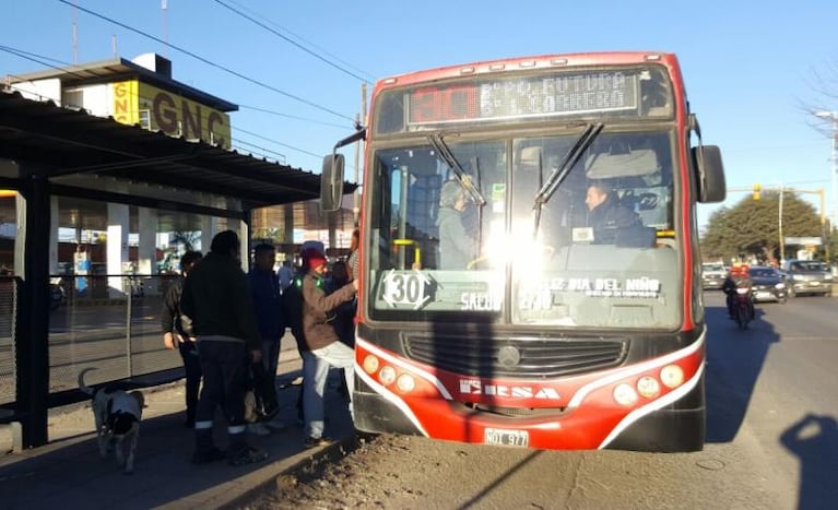 El servicio ya es normal y pago.