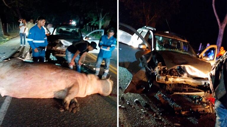 El siniestro ocurrió en el municipio de Puerto Triunfo, del departamento de Antioquia.