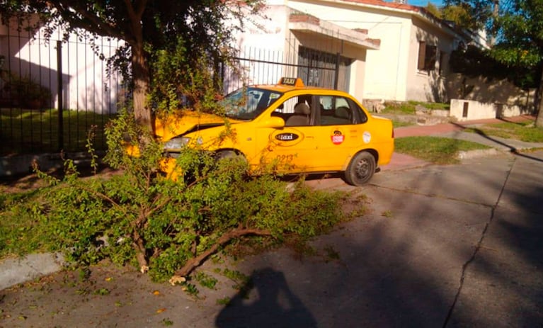 El taxi quedó destruido tras impactar contra un árbol. Foto: Cadena 3.