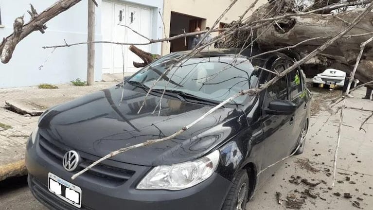 El temporal de viento sur provocó destrozos en varias ciudades de Córdoba