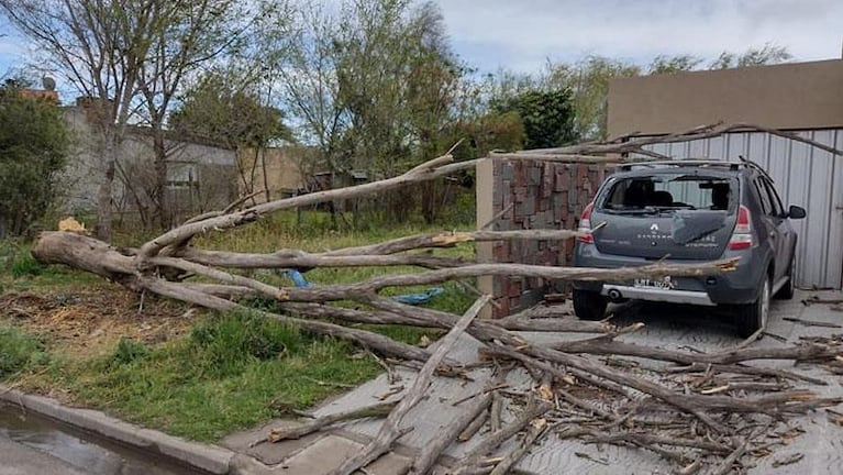 El temporal de viento sur provocó destrozos en varias ciudades de Córdoba