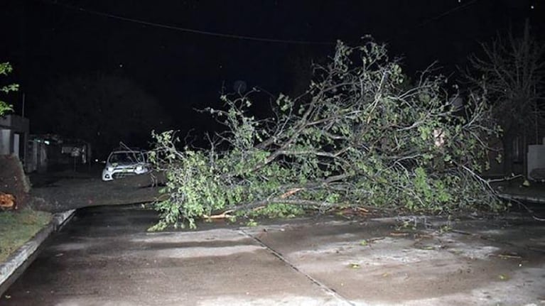 El temporal dejó numerosos destrozos y evacuados en Devoto