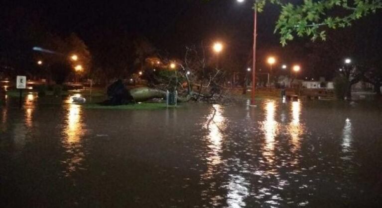 El temporal dejó numerosos destrozos y evacuados en Devoto