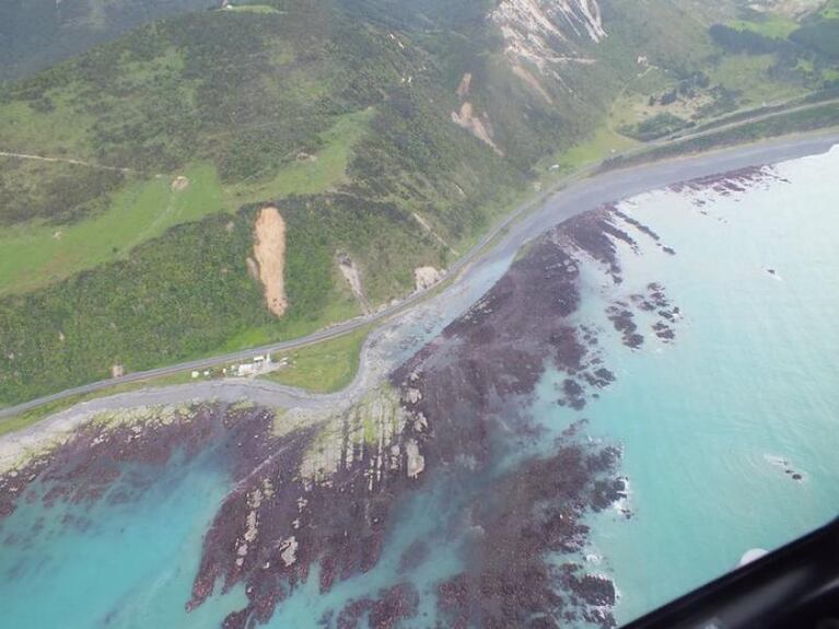 El terremoto levantó el fondo marino en Nueva Zelanda