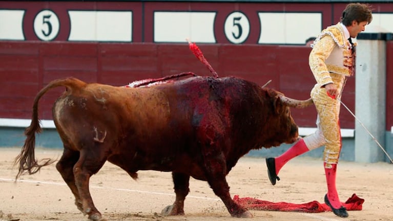 El torero sufre fuertes dolores mientras se recupera de la cornada.