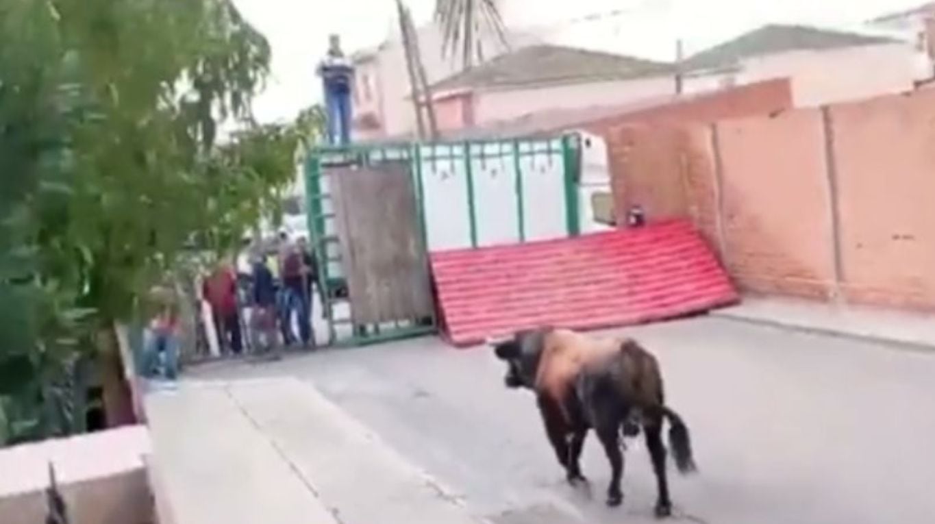 El toro rompió un barrote y atacó a los allí presentes. (Foto: gentileza La Razón)