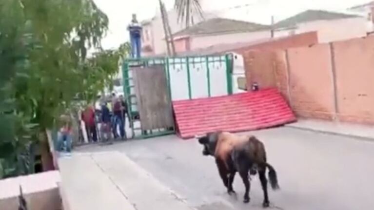 El toro rompió un barrote y atacó a los allí presentes. (Foto: gentileza La Razón)