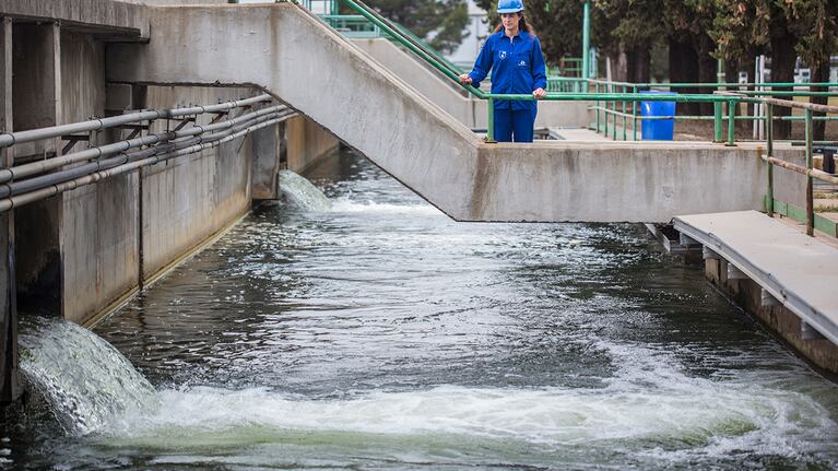 El trabajo que implica llevar el agua a cada hogar es proporcional al volumen que producen estas plantas.