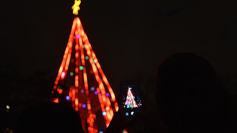 El tradicional símbolo navideño se encendió por octavo año consecutivo. Foto: Lucio Casalla / ElDoce.tv