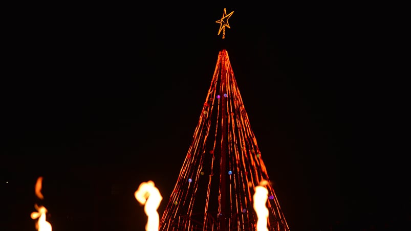 El tradicional símbolo navideño se encendió por octavo año consecutivo. Foto: Lucio Casalla / ElDoce.tv