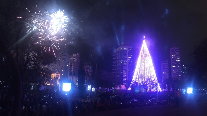 El tradicional símbolo navideño se encendió por octavo año consecutivo. Foto: Lucio Casalla / ElDoce.tv