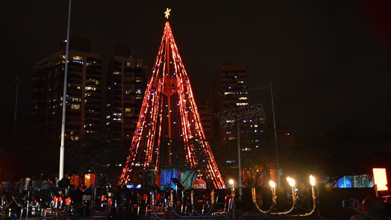 El tradicional símbolo navideño se encendió por octavo año consecutivo. Foto: Lucio Casalla / ElDoce.tv