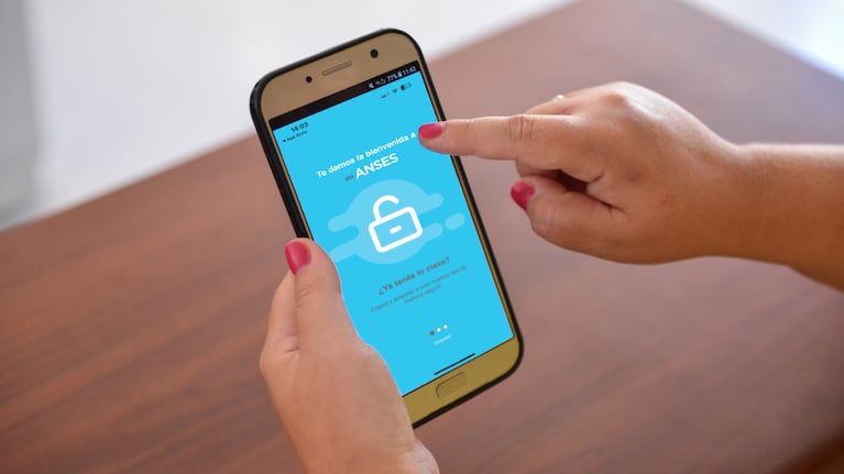 El trámite se puede hacer online a través de Mi Anses.