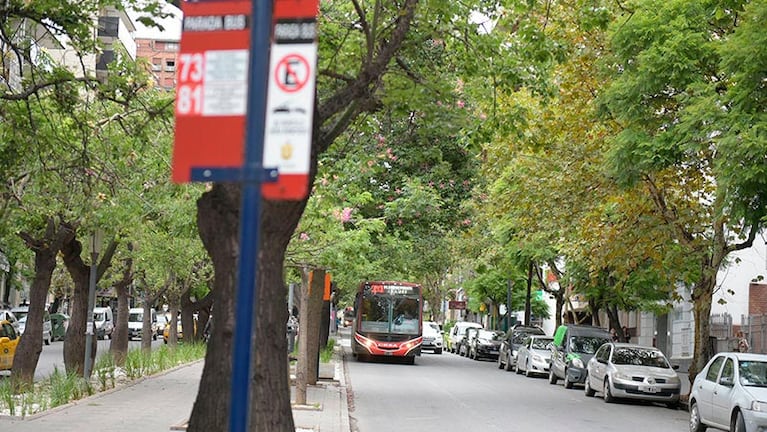 El transporte urbano en Córdoba, fuera de servicio.