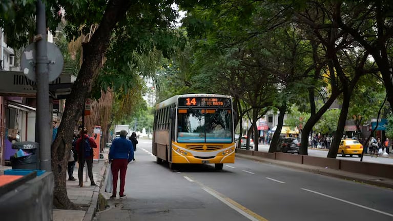 El transporte urbano, en crisis.