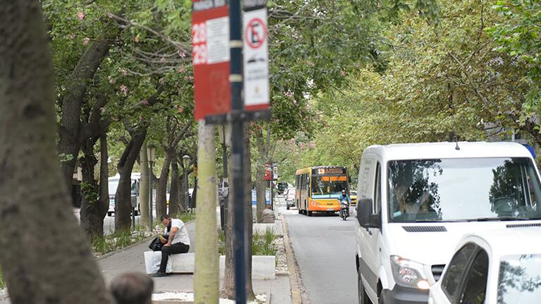 El transporte urbano funcionara con frecuencia de domingo y sábado.