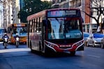 El transporte urbano será gratuito el domingo. 