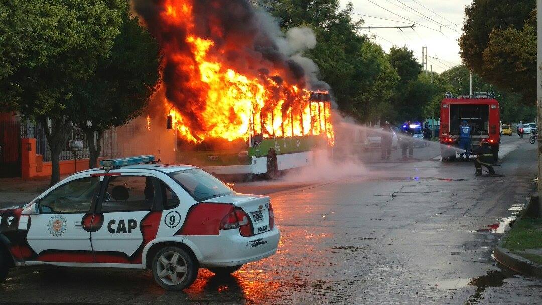 El trolebús se incendió por completo. Foto: Matías Di Stasi.