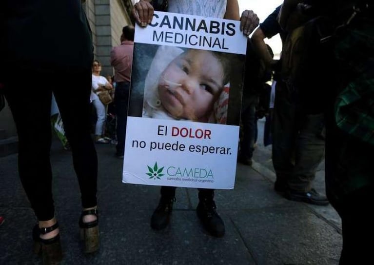 El uso del cannabis medicinal es ley por unanimidad