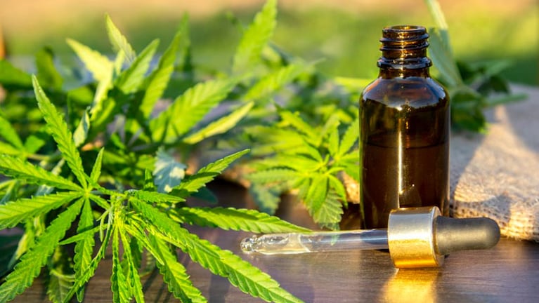 El uso del cannabis medicinal gana consenso y Córdoba adhiere a la ley nacional. 