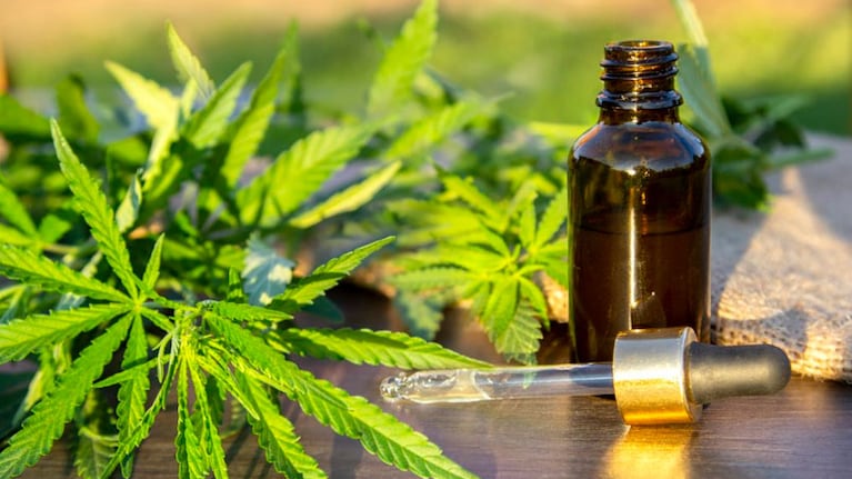 El uso del cannabis medicinal gana consenso y Córdoba adhiere a la ley nacional.
