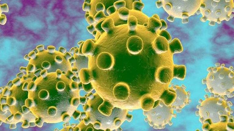 El uso del jabón es primordial para combatir el coronavirus: las razones
