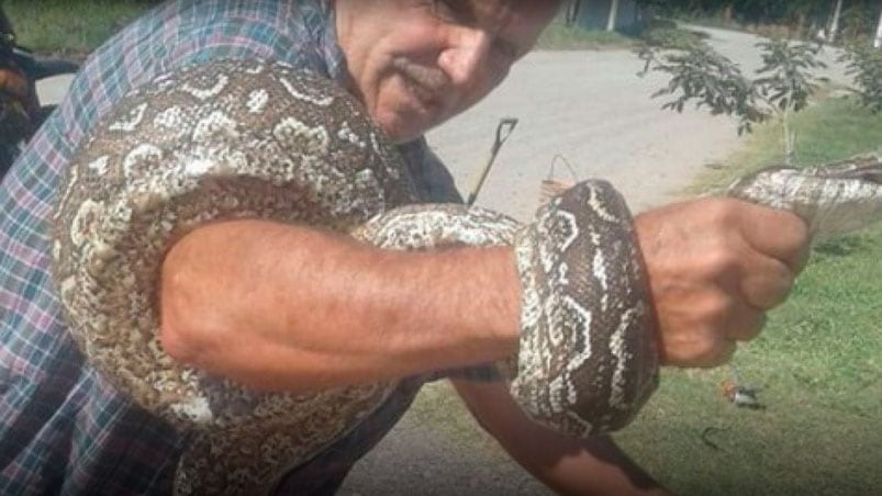 El vecino capturó el ofidio y se sacó fotos para mostrar en las redes sociales. 