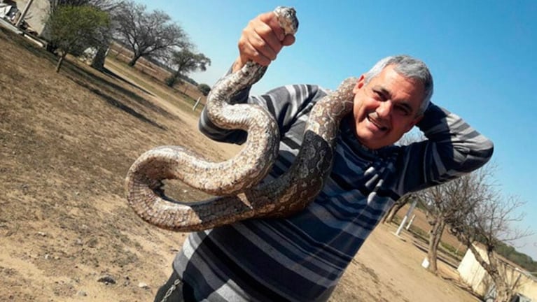 El vecino que encontró las serpientes.