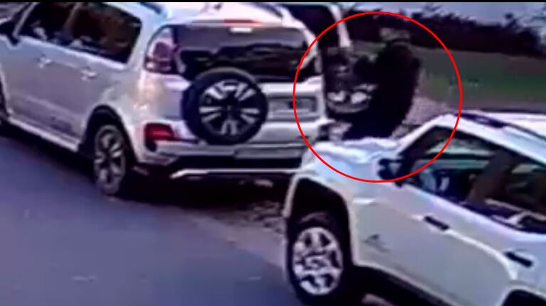 El vehículo estaba estacionado en la calle Tycho Brahe.