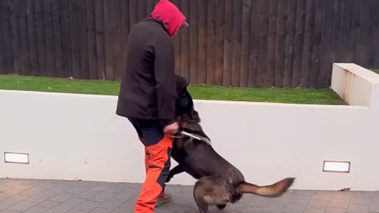 El video del entrenamiento del perro del Dibu Martínez.
