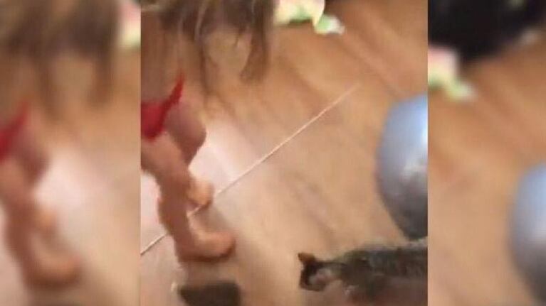 El video del momento en las redes sociales.